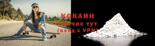 твердый Михайловка