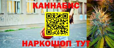 стафф Будённовск