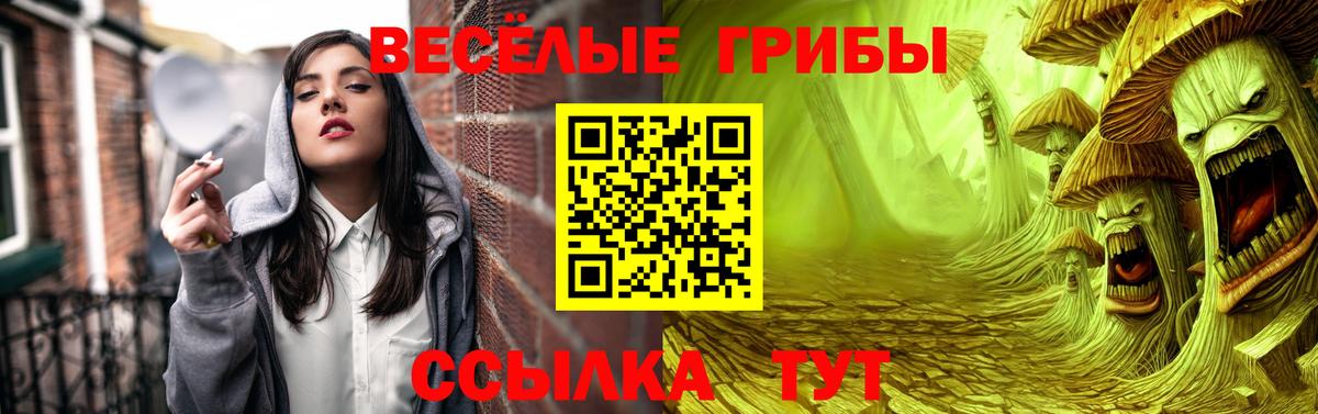Псилоцибиновые грибы MAGIC MUSHROOMS  Вход с VPN  Нарткала 